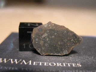 Meteorite Nwa 10305 - Carbonaceous Chondrite,  Cai Rich - Cv3