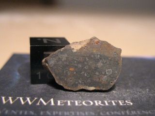 Meteorite NWA 10305 - Carbonaceous chondrite,  CAI rich - CV3 2