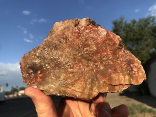 REILLY’S ROCKS: Unique Pink Colors,  Arizona Petrified Wood,  Saint Johns Az. 2