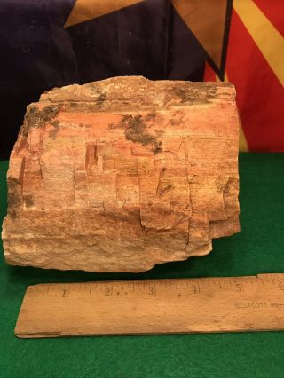 REILLY’S ROCKS: Unique Pink Colors,  Arizona Petrified Wood,  Saint Johns Az. 5