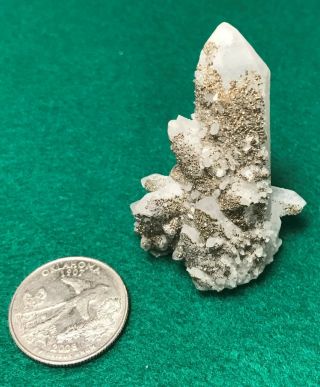 Pyrite On Quartz D1318 Crystal Mineral Specimen