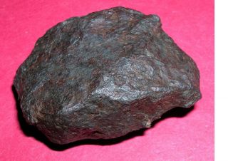 Canyon Diablo Meteorite - 75.  0 Gram Polished Etched End Cut