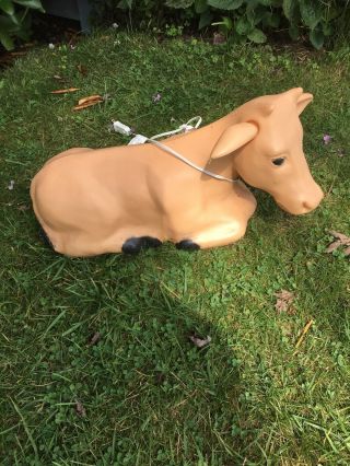 Vtg " General Foam " Lighted Christmas Nativity Cow Blow Mold - 21 " Long