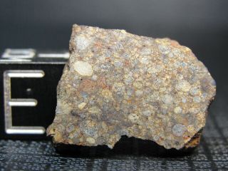 NWA 10220 Official Meteorite - LL3 - S1 - G602 - 0006 - 2.  50g - Rare Part Slice 2