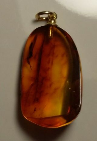 Insect Inclusion Baltic Amber Silver Gold Plated Pendant 2.  4 G