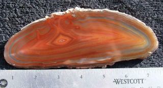 Polished rock slab BRAZILIAN AGATE - great specimen 4