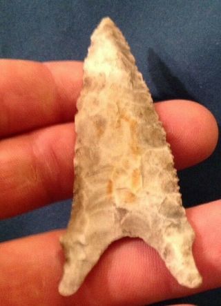Dalton Knife Blade Arrowhead Point (Rare Form) 3 1/4,  Indian Artifact 7