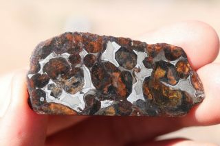 Sericho Meteorite Pallasite From Kenya Part Slice 7.  5 Grams