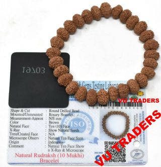 10 Mukhi Rudraksha Bracelet / Ten Face Rudraksh Wristlet Lab Certified 9 - 10 Mm