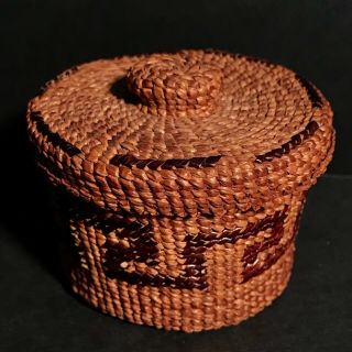 Tsimshian/tlingit Bear Grass Imbricated Cedar Knob Lidded Basket,  C1900,  Nr