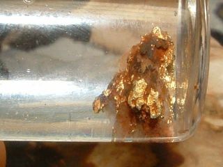 Sierra Nevada Gold Quartz Specimen Gold In Quartz.  41 Gram Gold Micromount