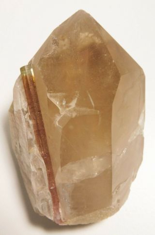 Elbaite Tourmaline In Smoky Quartz,  Himalaya Mine,  California,  7.  0x5.  0x4.  5 Cm