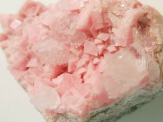 2 - in - 1 Rhodochrosite Cluster w/Quartz,  Manuelita Mine,  Peru,  5.  7x4.  0x4.  0 cm 7