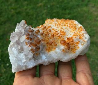 Orange Iron Oxide on Smoky Quartz Crystal Points Diamond Hill South Carolina 2