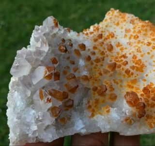 Orange Iron Oxide on Smoky Quartz Crystal Points Diamond Hill South Carolina 5