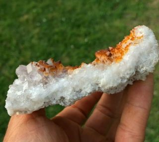 Orange Iron Oxide on Smoky Quartz Crystal Points Diamond Hill South Carolina 8