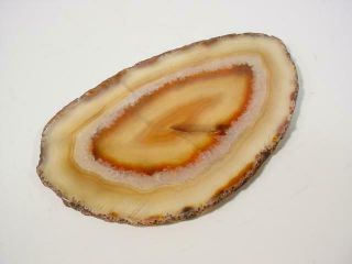 NobleSpirit {3970}Beautiful Selection of Agate Slices 2