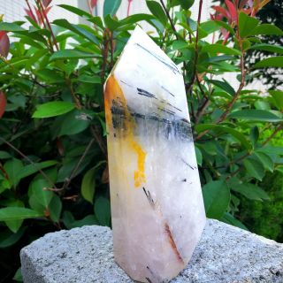 1115g Natural Clear Black Tourmaline Quartz Crystal Obelisk Point Healing 4flh10
