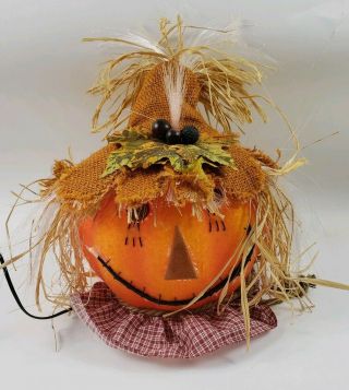 Colors Of Fall Halloween Light Up Fiber Optic Halloween Pumpkin Scarecrow Decor