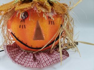 Colors of Fall Halloween Light Up Fiber Optic Halloween Pumpkin Scarecrow Decor 2