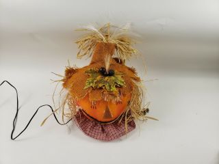 Colors of Fall Halloween Light Up Fiber Optic Halloween Pumpkin Scarecrow Decor 3