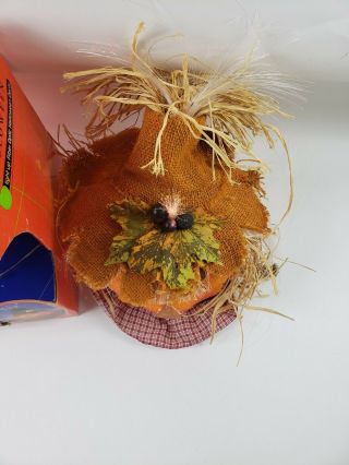 Colors of Fall Halloween Light Up Fiber Optic Halloween Pumpkin Scarecrow Decor 5