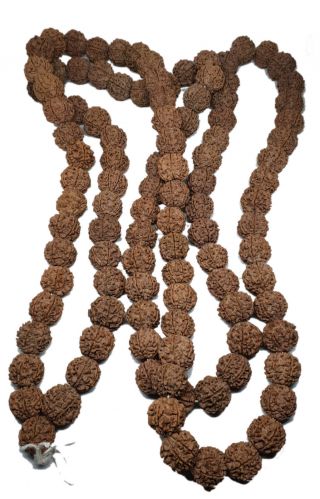 Rudraksha Mala Hindu Buddhist Rudraksha Beads Necklace - 20mm Japa Mala 108,  1