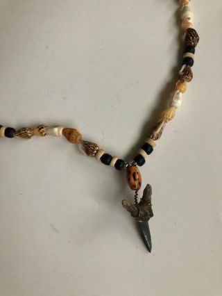 Vintage Shark Tooth Shells Beach Tribal Necklace 5