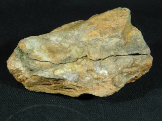 A Big 100 Natural Asaphellus? Trilobite Fossil In A Split Nodule 458gr E