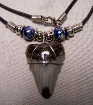 1 1/4 " Megalodon Shark Tooth Necklace Fossil Teeth Fishing Scuba Dive Meg Tooth