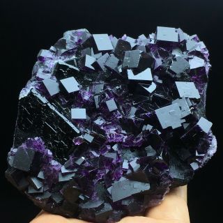 361.  5gnatural Cube Deep Purple Fluorite Crystal Cluster Mineral Specimen/china