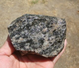 1 Lb.  7.  6 Oz.  Morton Gneiss,  Oldest Rock In The Usa,  3.  5 Billion Years