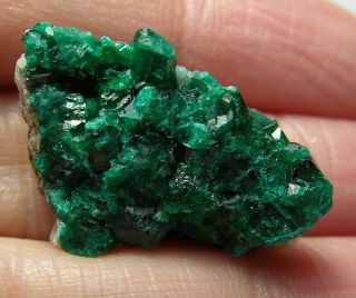 24 7/8 Inch Kazakhstan 100 Natural Dioptase Crystal In Matrix Specimen 22.  00mm