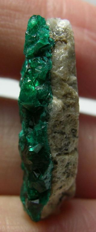 24 7/8 inch Kazakhstan 100 Natural Dioptase Crystal in Matrix Specimen 22.  00mm 3