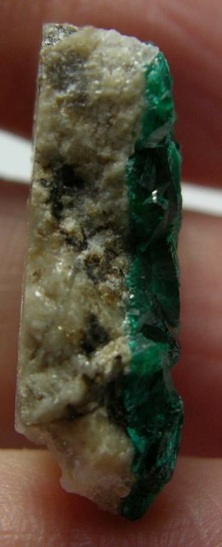 24 7/8 inch Kazakhstan 100 Natural Dioptase Crystal in Matrix Specimen 22.  00mm 4
