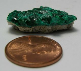 24 7/8 inch Kazakhstan 100 Natural Dioptase Crystal in Matrix Specimen 22.  00mm 5