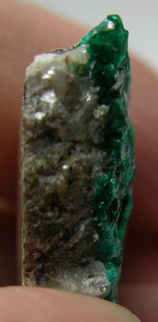 24 7/8 inch Kazakhstan 100 Natural Dioptase Crystal in Matrix Specimen 22.  00mm 6