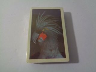 Vintage Nos Arrco Parrot Deck Playing Cards Chicago Usa