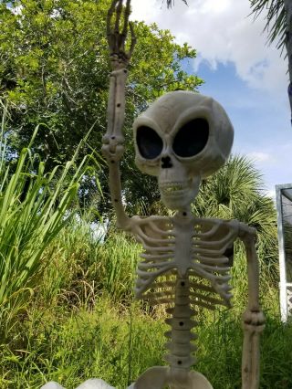 Roswell Ufo Alien Skeleton Area 51 Space Man Grey Aliens Figure Halloween Decor