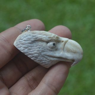 Eagle Head Carving 51x27mm Pendant P3466 W/ Silver In Moose Antler Hand Carved