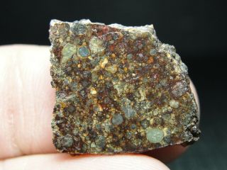 Nwa 11291 Official Meteorite - Ll3 - W2 - G637 - 0087 - 2.  53g W/coa - Part Slice