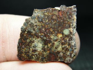 NWA 11291 Official Meteorite - LL3 - W2 - G637 - 0087 - 2.  53g w/COA - Part Slice 2