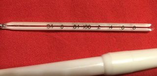 Vintage Glass Fever Thermometer 3