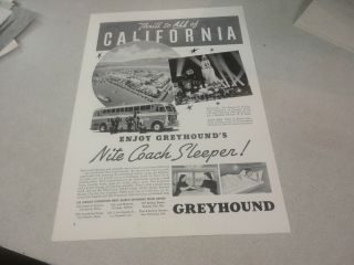 Rare 1938 Greyhound Bus  Nite Coach Sleeper  Advertisement