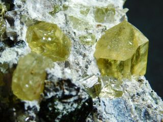 Around Ten Translucent Apatite Crystals In Big Matrix From Mexico 523gr E