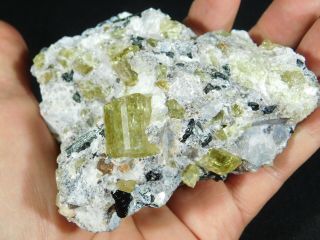 Around TEN Translucent APATITE Crystals in Big Matrix From Mexico 523gr e 2