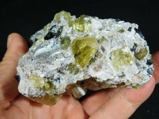 Around TEN Translucent APATITE Crystals in Big Matrix From Mexico 523gr e 4