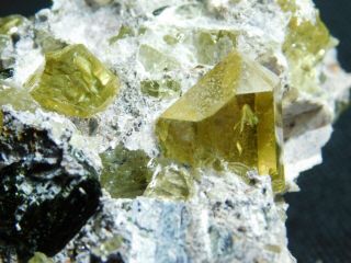 Around TEN Translucent APATITE Crystals in Big Matrix From Mexico 523gr e 5