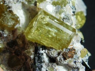Around TEN Translucent APATITE Crystals in Big Matrix From Mexico 523gr e 6