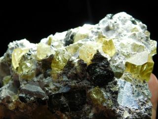 Around TEN Translucent APATITE Crystals in Big Matrix From Mexico 523gr e 8
